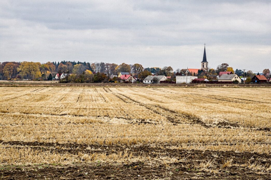 Pole po żniwach żyta w Polsce jesienią, w tle polska wieś