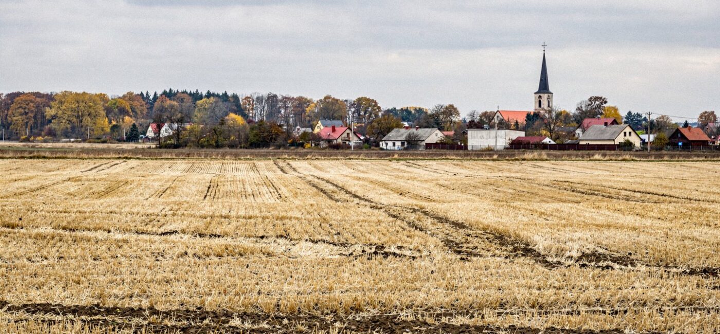 Pole po żniwach żyta w Polsce jesienią, w tle polska wieś