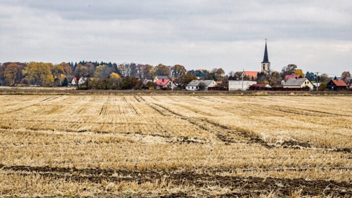 Pole po żniwach żyta w Polsce jesienią, w tle polska wieś
