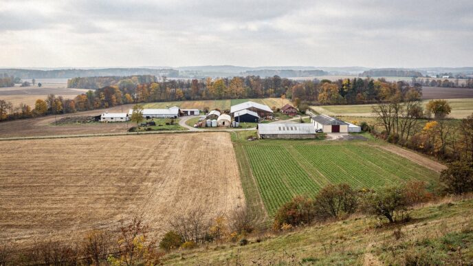 Widok z góry na polskie gospodarstwo rolne jesienią — pola po żniwach i zabudowania gospodarcze
